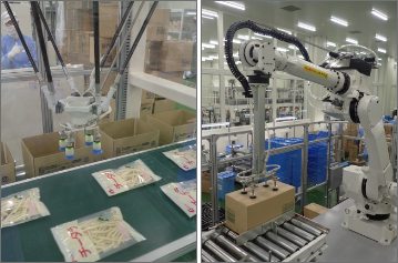 Robots for packing products