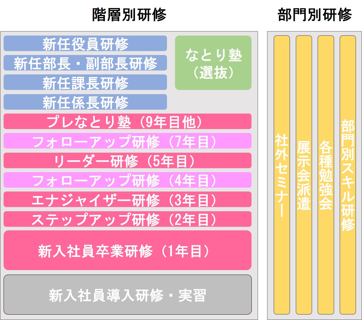 教育研修体系