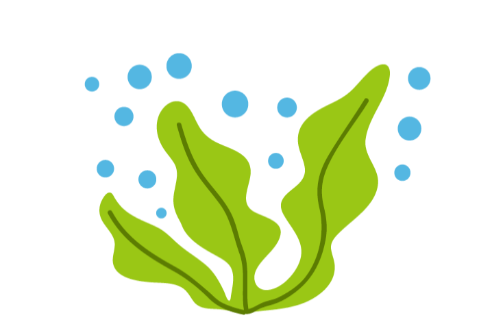 お酒の席がもっと楽しくなる 知って得する おつまみ雑学