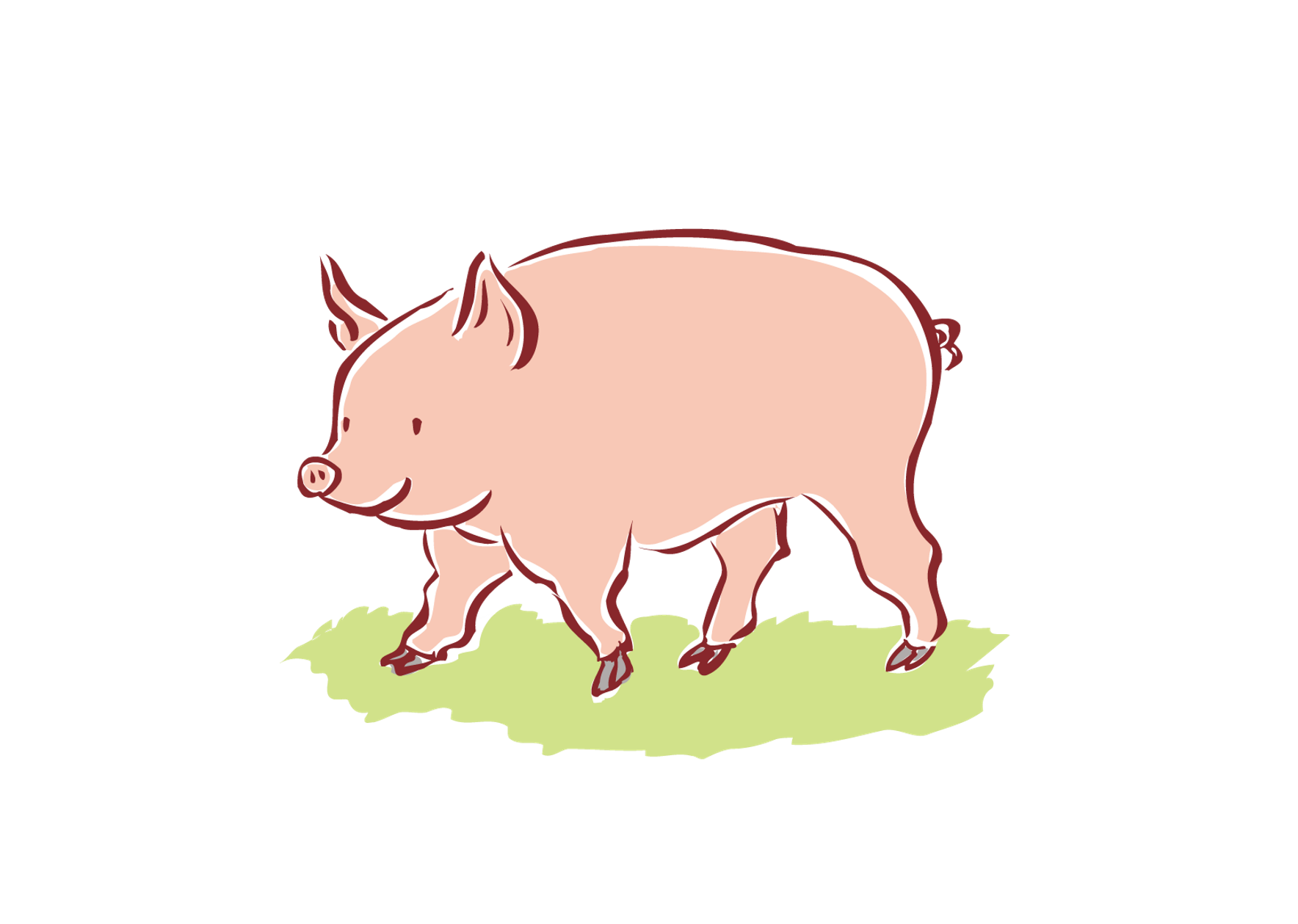 豚肉の部位とその用途