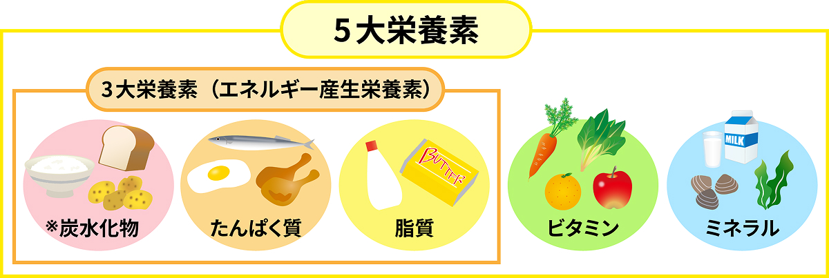 5大栄養素