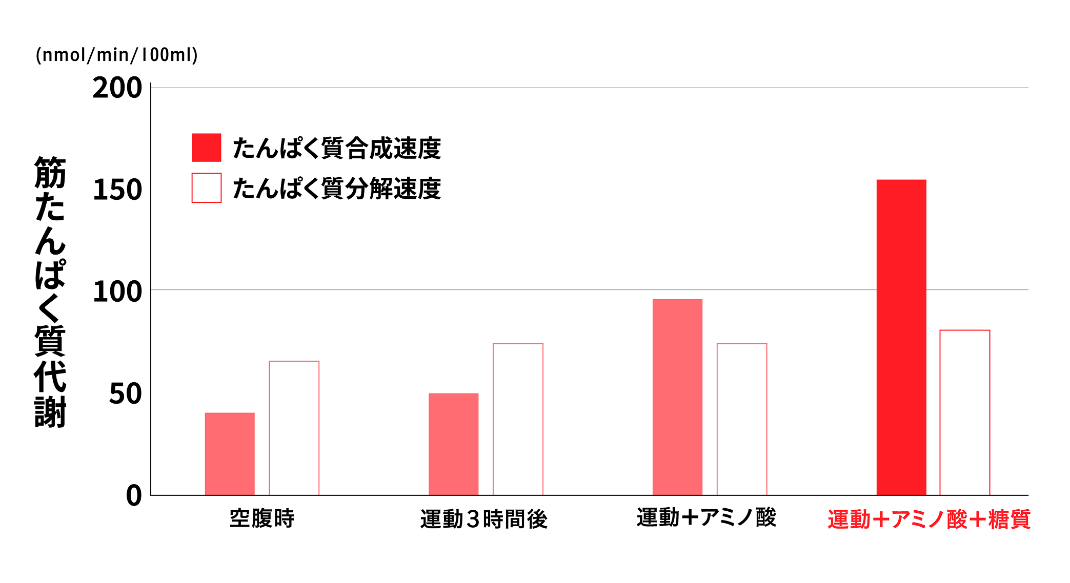運動とたんぱく質の関係