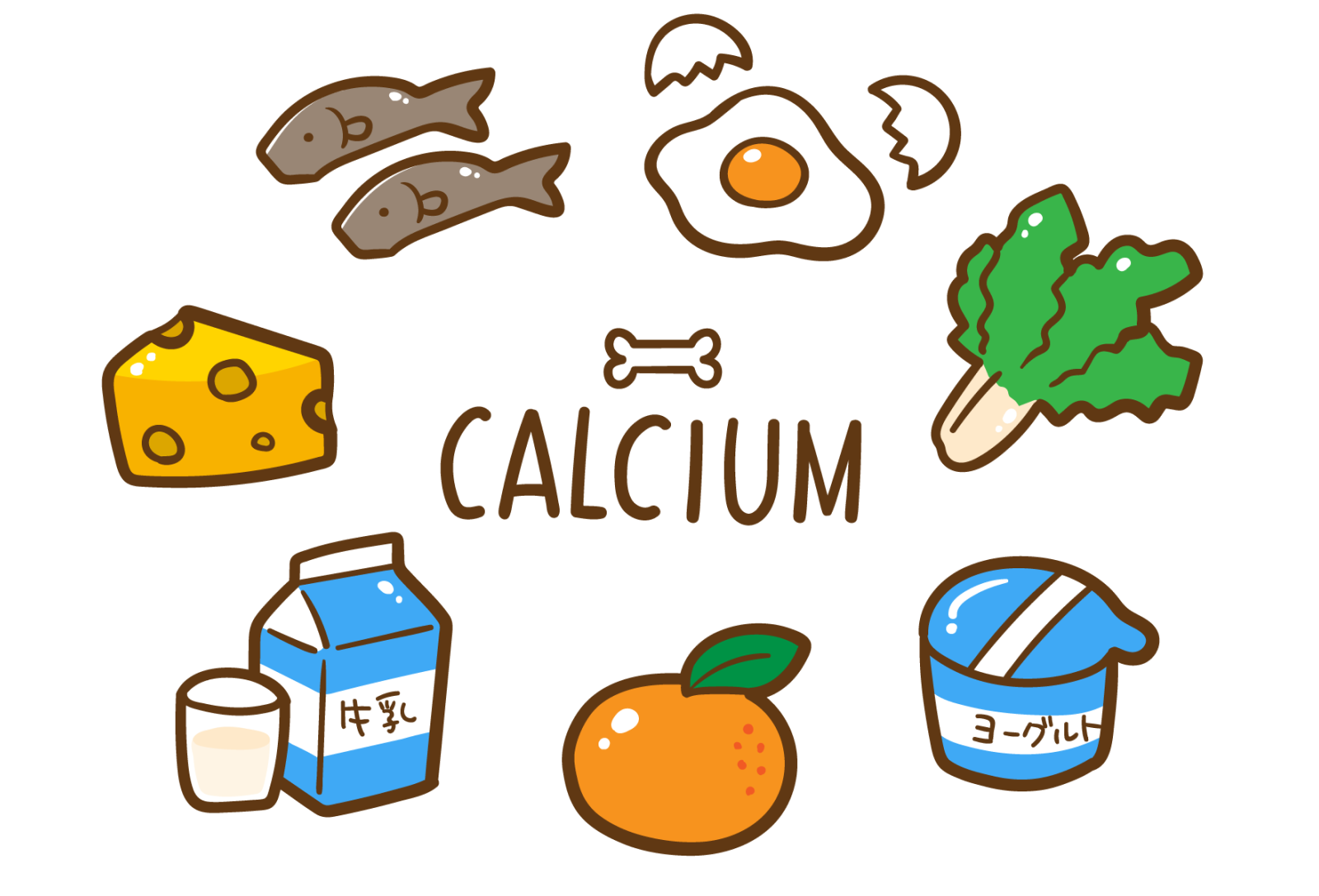『カルシウムが豊富なチーズ製品』